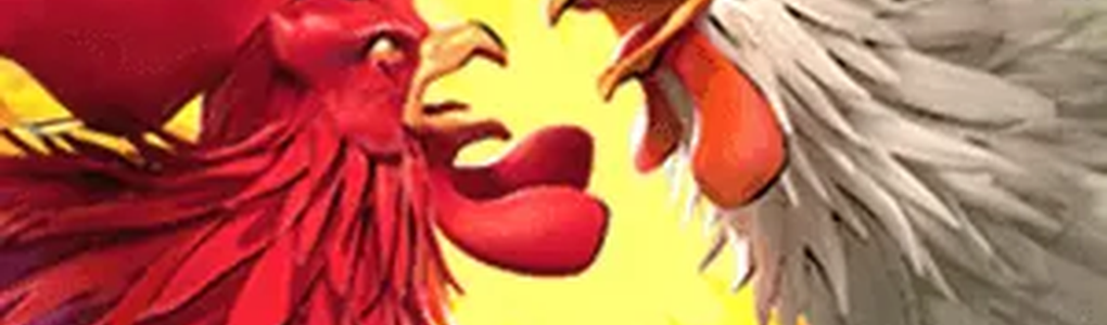 Bônus 9FGame